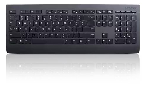 Lenovo Professional Wireless Combo Keyboard & Mouse 2.4Ghz
